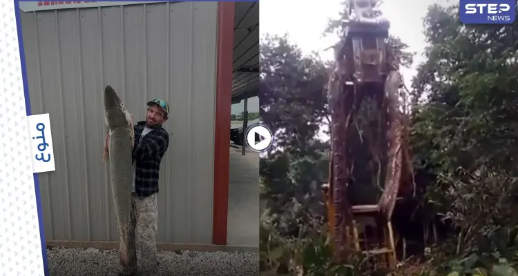 ثعبان عملاق بطول 10 أمتار يرعب سكان جزيرة إندونيسية.. وأمريكي يصطاد حيوان مائي نادر يعود لـ100 مليون عام (فيديو وصور): أخبار