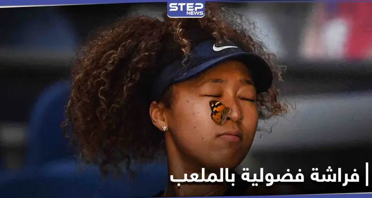 بالفيديو|| ردة فعل مدهشة تجاه فراشة "فضولية" أثناء مباراة في أستراليا المفتوحة: أخبار