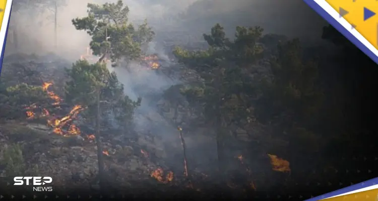 شاهد|| حرائق غابات اليونان تستعر.. قتيلان وعمليات إجلاء واسعة: أخبار