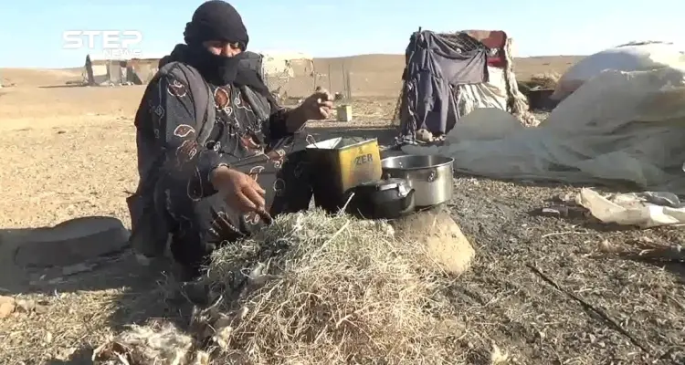 مخيم وادي البقر بريف ديرالزور .. أكثر من ٨٥ عائلة يتذوقون ويلات النزوح: أخبار