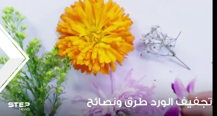 تجفيف الورد طرق ونصائح وبعض الفوائد: أخبار