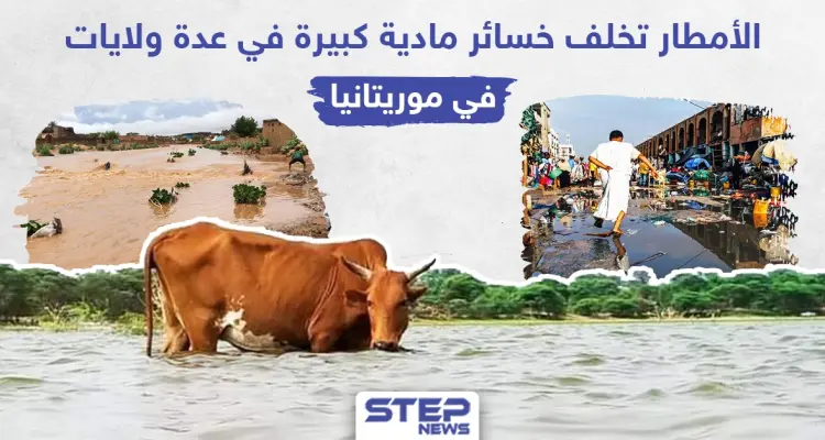 من فيضانات السودان إلى أمطار موريتانيا المياه تكبد المدنيين الكثير من الخسائر هل سنشهدها بدولة عربية ثالثة!؟: أخبار