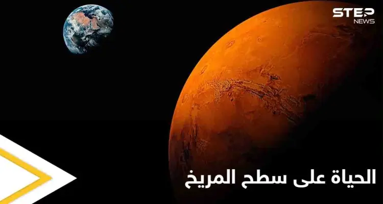 دليل على وجود الحياة في المريخ.. عالم أمريكي ينشر صورة تثير الجدل بشكل كبير: أخبار