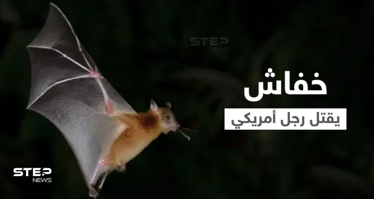 بعد اكتشاف مستعمرة خفافيش في منزله.. رجل أمريكي يقتله داء السعار: أخبار