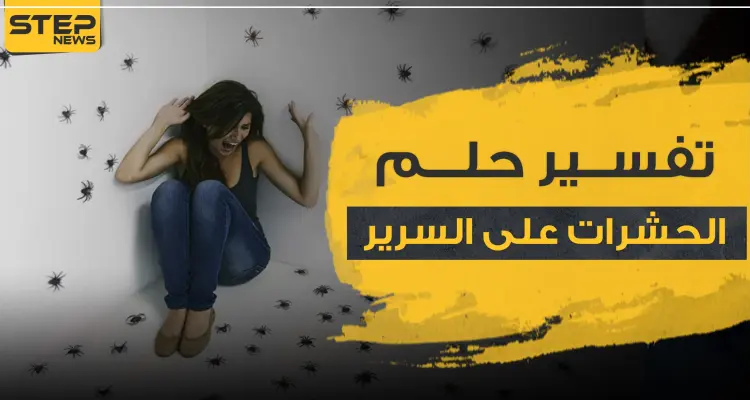 تفسير حلم الحشرات على السرير..3 تفاسير لمختلف العلماء ولجميع الأجناس والأعمار: أخبار