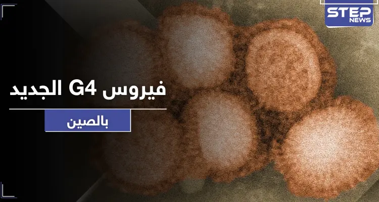 تحذيرات من جائحة عالمية جديدة قادمة من الصين.. اكتشاف فيروس جديد قاتل: أخبار