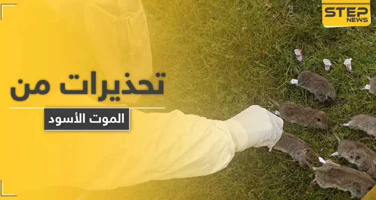 طاعون دبلي.. الصين تطلق تحذيراً من المستوى 3 حول جائحة جديدة قد تجتاج العالم: أخبار