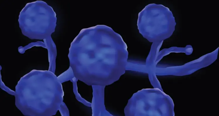 دولة خليجية تعلن عن 3 حالات مؤكدة لـ "الفطر الأسود" عند مرضى بكورونا: أخبار