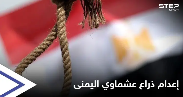 محكمة مصرية مختصة بالإرهاب تقضي بالإعدام شنقاً بحق الذراع اليمنى لـ"هشام عشماوي".. تعرّف عليه: أخبار