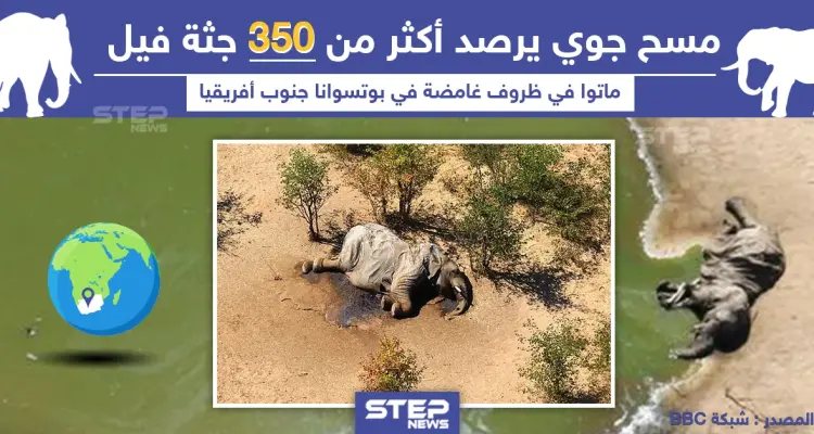 موت 350 فيل في ظروف غامضة بجنوب أفريقيا: أخبار