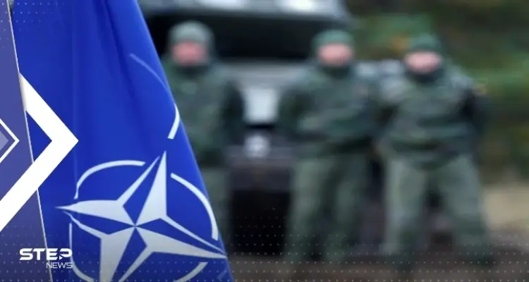 صحيفة تكشف كيف حلّت دولة لا يزيد جيشها على ألف جندي "مشكلة عجز عنها" الناتو: أخبار