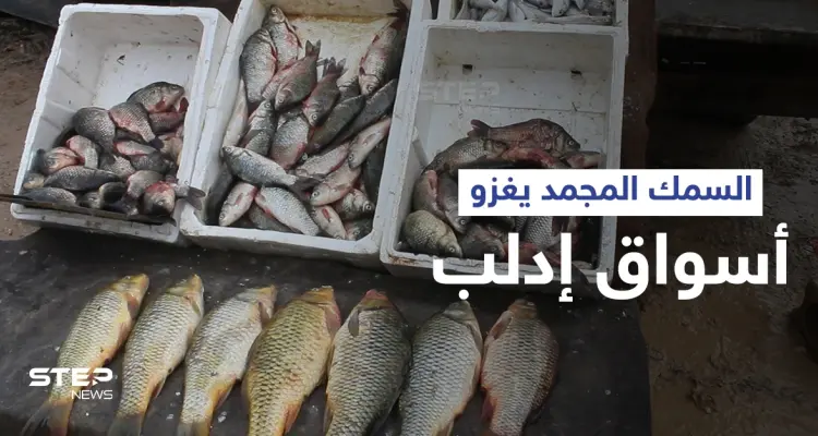 الأسماك المجمدة تغزو أسواق محافظة إدلب تماشياً مع حالة الفقر في المنطقة: أخبار