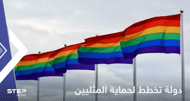 دولة أوروبية تعلن عن خطة لحماية حقوق "المثليين" وعائلات "قوس قزح": أخبار