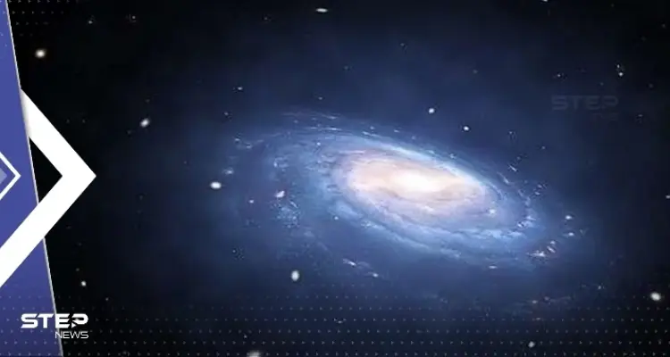 بعد أنباء عن "ظهور كائنات فضائية تهاجم الأرض".. باحث مصري يعلق: أخبار