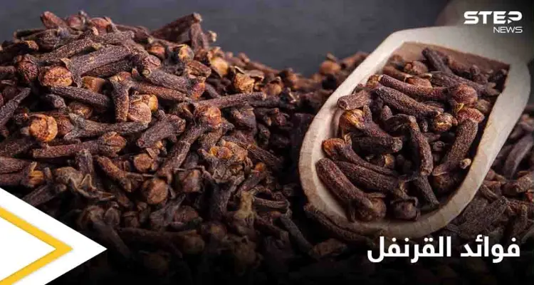 تعرف على فوائد القرنفل لأمراض الحنجرة وآلام الأسنان: أخبار