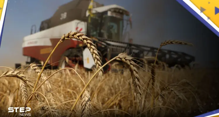 جديد اتفاق الحبوب.. روسيا تعلن أمراً مهماً عنها و5 دول تهدد: أخبار