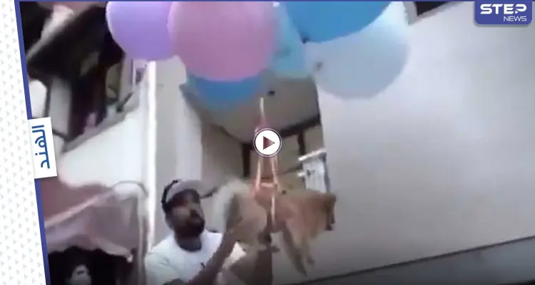 بالفيديو|| القبض على يوتيوبر هندي ربط كلبه الأليف ببالونات هيدروجين وجعله يصير بالهواء: أخبار