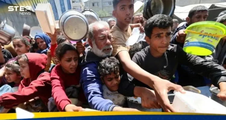 نائبة جمهورية توجه نداء مطولا بشأن غزة: أخبار