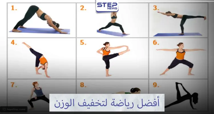 تمارين الرياضة التي تساعدك لتخفيف وزنك تعرف عليها ...: أخبار