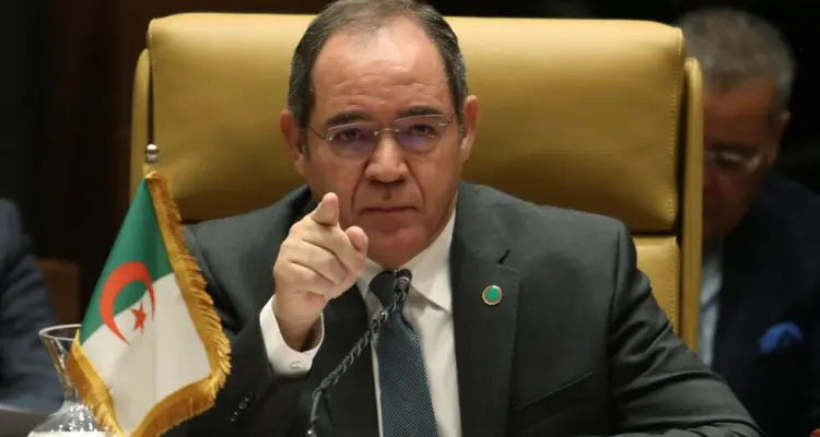 وزير خارجية الجزائر يعلق على تصريح قصر الإليزيه وزيارة وزير الخارجية الإماراتي لسوريا: أخبار