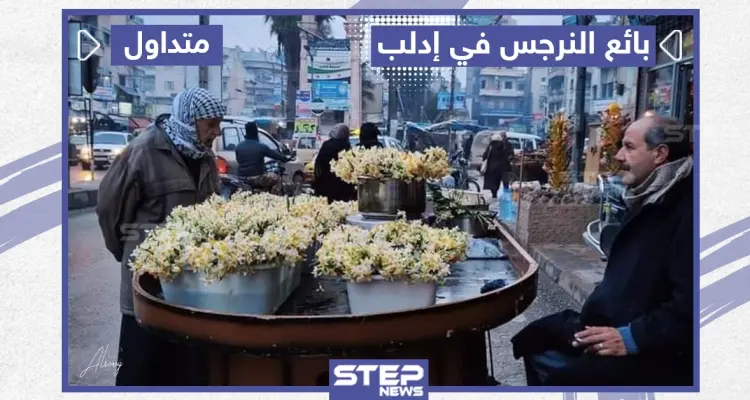 بائع النرجس في إدلب: أخبار