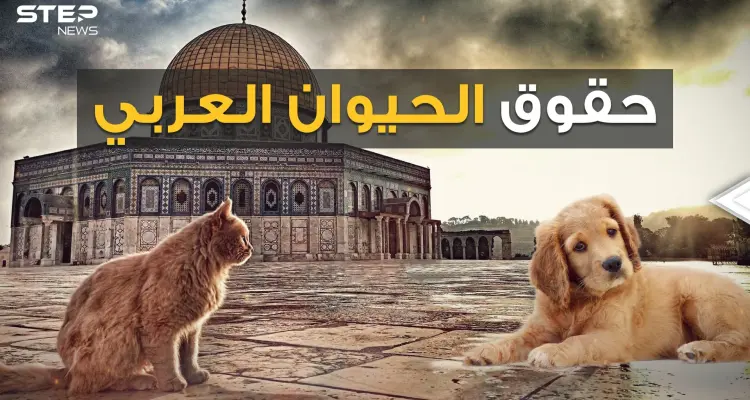 كلاب وحيوانات بملايين الدولارات، وحملات عربية لوقف قتلها.. من أولى البشر أم الحيوان!: أخبار