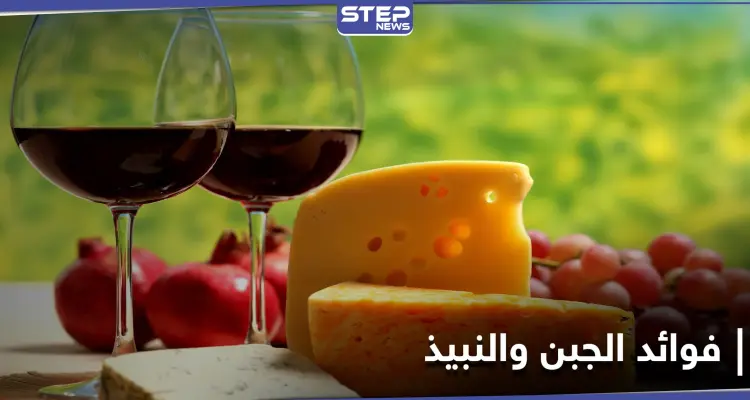 دراسة أمريكية: الجبن والنبيذ يحسنان من القدرات المعرفية: أخبار