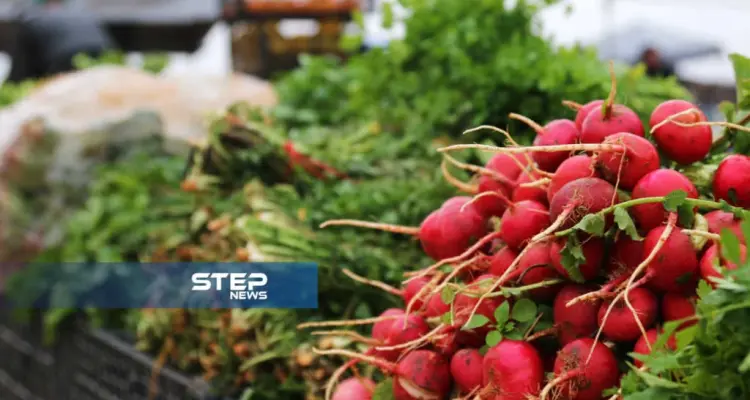 موجز أخبار الوضع السوري ليوم الأربعاء 13-02-2019: أخبار