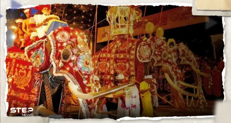 شاهد || أفيال هائجة تُهاجم العشرات خلال احتفال ديني في سريلانكا: أخبار