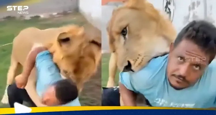 في مشهد صادم.. ليبي يطلق أسده على عامل مصري (فيديو): أخبار