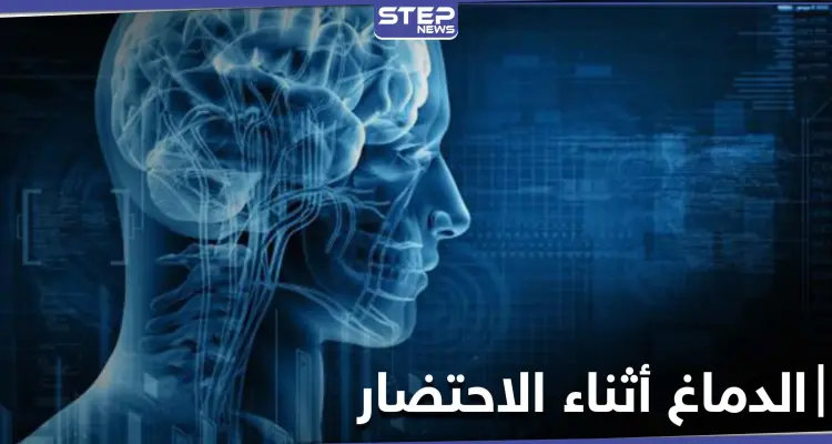 دراسة تكشف ماذا يحصل داخل الدماغ أثناء الاحتضار في لحظات قبل الموت: أخبار