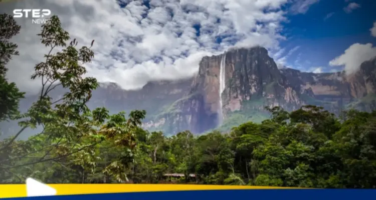 شروط الحصول على الجنسية الفنزويلية وطريقة التقديم: أخبار