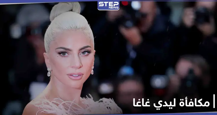 نصف مليون دولار لمن يعيد كلبي ليدي غاغا المسروقين: أخبار