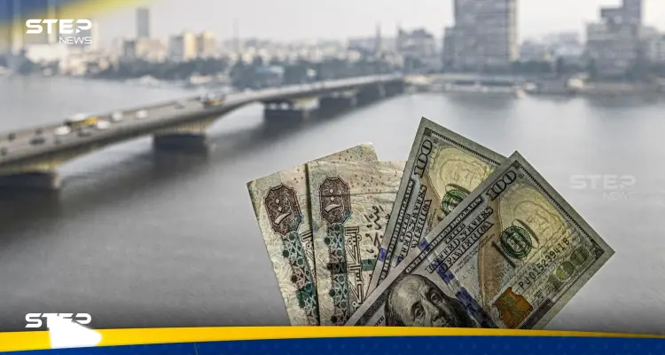 سعر الدولار مقابل الجنيه المصري اليوم الأحد 25 فبراير 2024.. "وداعاً للسوق السوداء": أخبار