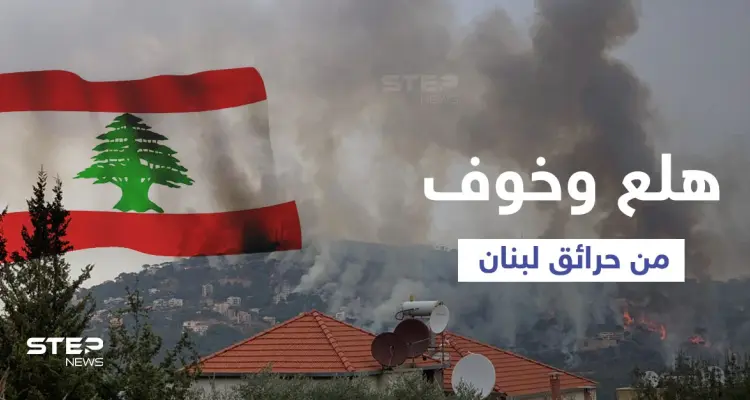 مشاهد محزنة من حرائق بيت مري اللبنانية وألسنة اللهب باتت تحاصر المنازل.. و6 مروحيات تشارك بإطفاء حريق بالجليل (فيديو وصور): أخبار