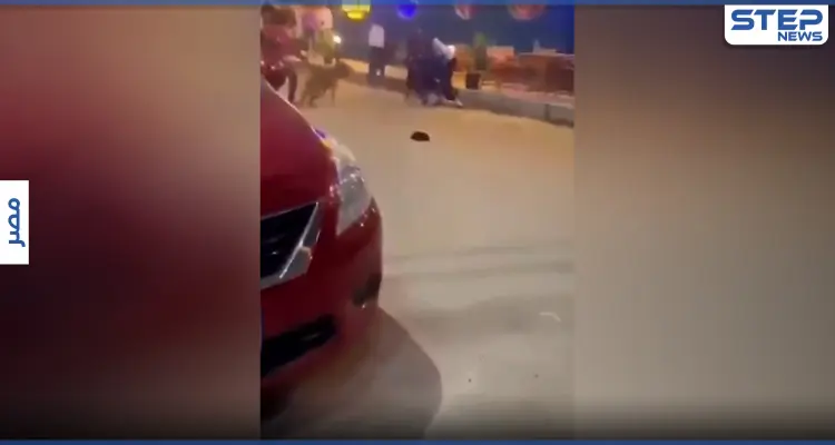 بالفيديو|| شباب يرهبون فتيات بالكلاب وسط شوارع بنها المصرية ويضحكون بعد حالة إغماء بينهن: أخبار