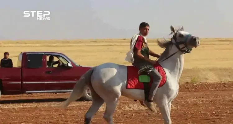 شاهد سباق للخيول العربية الأصيلة تحت مسمى بطولة الشهيد عبد الباسط الساروت في قرية النعمان بريف حلب: أخبار