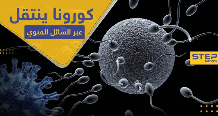 دراسات حديثة تشير إلى إمكانية انتقال كورونا عبر العلاقة الزوجية: أخبار
