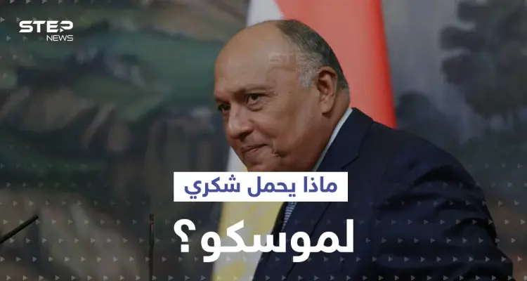 بعد ساعات من لقاء بلينكن.. وزير الخارجية المصري يتوجه لموسكو فماذا يحمل؟: أخبار