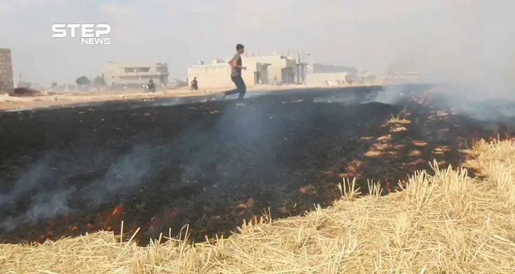 بالفيديو .. مشاهد من اشتعال الحرائق بالأراضي الزراعية في مدينة مارع شمال حلب إثر قصفها من قبل ميليشيا الوحدات الكردية: أخبار