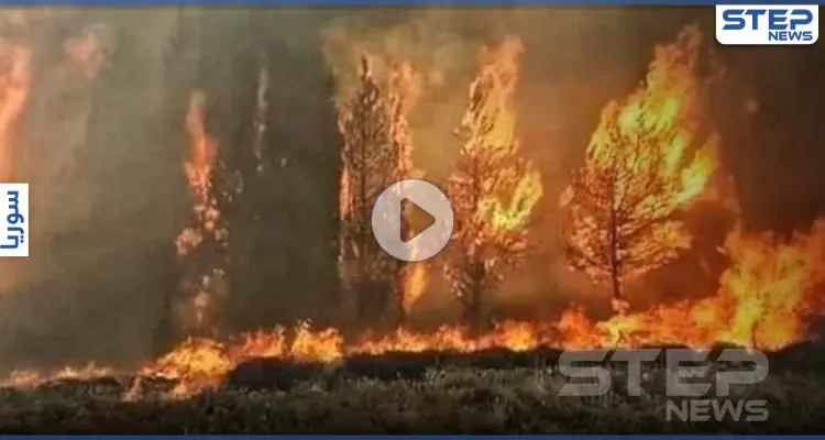بالفيديو|| حرائق الساحل السوري تصل مناطق سيطرة المعارضة.. ومصدر بالدفاع المدني يكشف عن الجاهزية لمجابهتها: أخبار