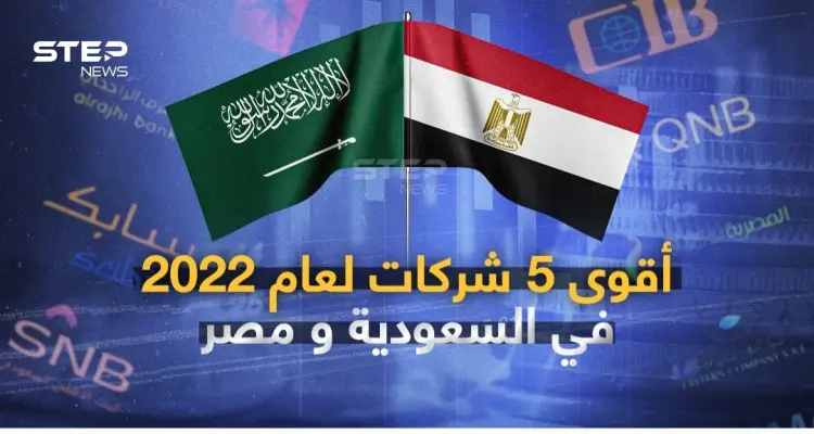 أقوى 5 شركات لعام 2022 في السعودية ومصر: أخبار
