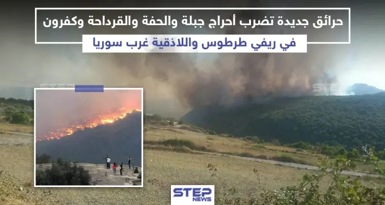 مرة أخرى.. الحرائق تلتهم غابات الساحل السوري!: أخبار