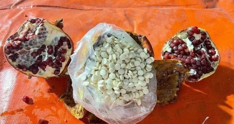 أثارت غضبها.. السعودية تصدر قراراً صارماً بعد ضبط شحنة مخدرات ضخمة قادمة من لبنان: أخبار