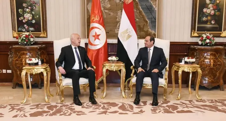خلال مؤتمرٍ صحفي.. الرئيسان المصري والتونسي يناقشان ملفات هامة: أخبار