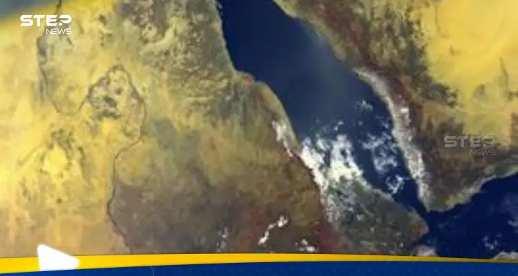 اليمن تحذر من كارثة بيئية كبرى تهدد البحر الأحمر.. ماذا حدث : أخبار
