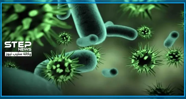 الصين تسجل أول حالة وفاة بفيروس "هنتا".. كل ما تريد معرفته عن الفيروس وأعراضه ومسبباته: أخبار