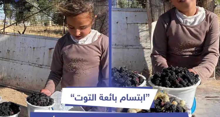 ابتسام ... بائعة التوت الجميلة: أخبار