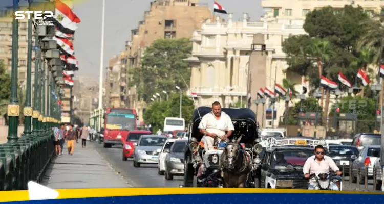 الكشف عن تفاصيل أكبر صفقة في تاريخ مصر.. عشرات ملايين الدولارات: أخبار