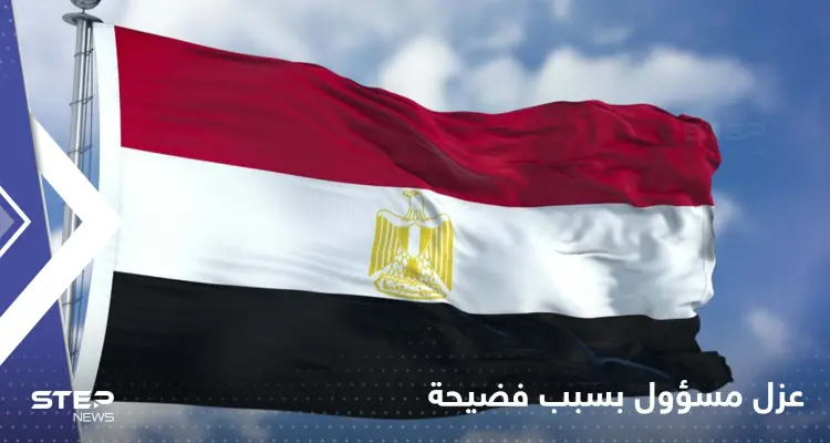 حمالة صدر تُسقط مسؤول مصري من منصب رفيع!: أخبار